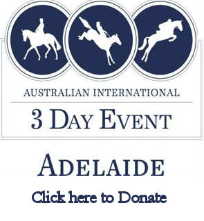 support Adelaide 3DE