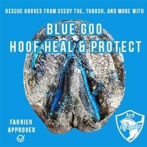 BlueGooHoofHeal